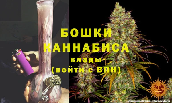 СК Чита