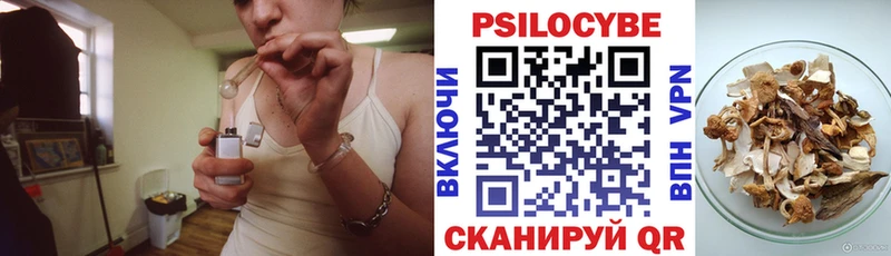 даркнет сайт  Нефтекамск  Галлюциногенные грибы мицелий 