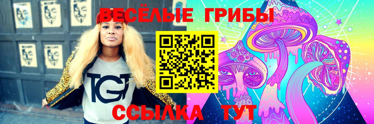 Галлюциногенные грибы Psilocybe  Псилоцибиновые грибы ЛСД  Нефтекамск  Вход с VPN 