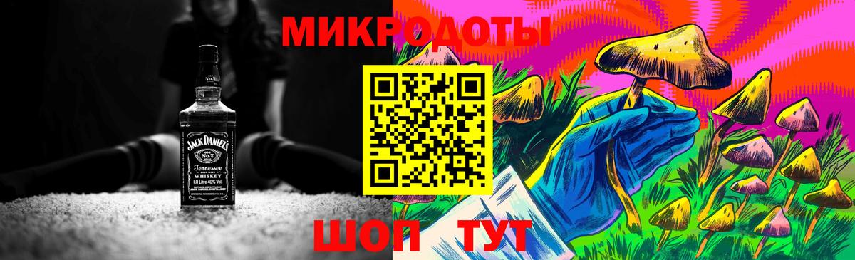 Галлюциногенные грибы Psilocybe Нефтекамск